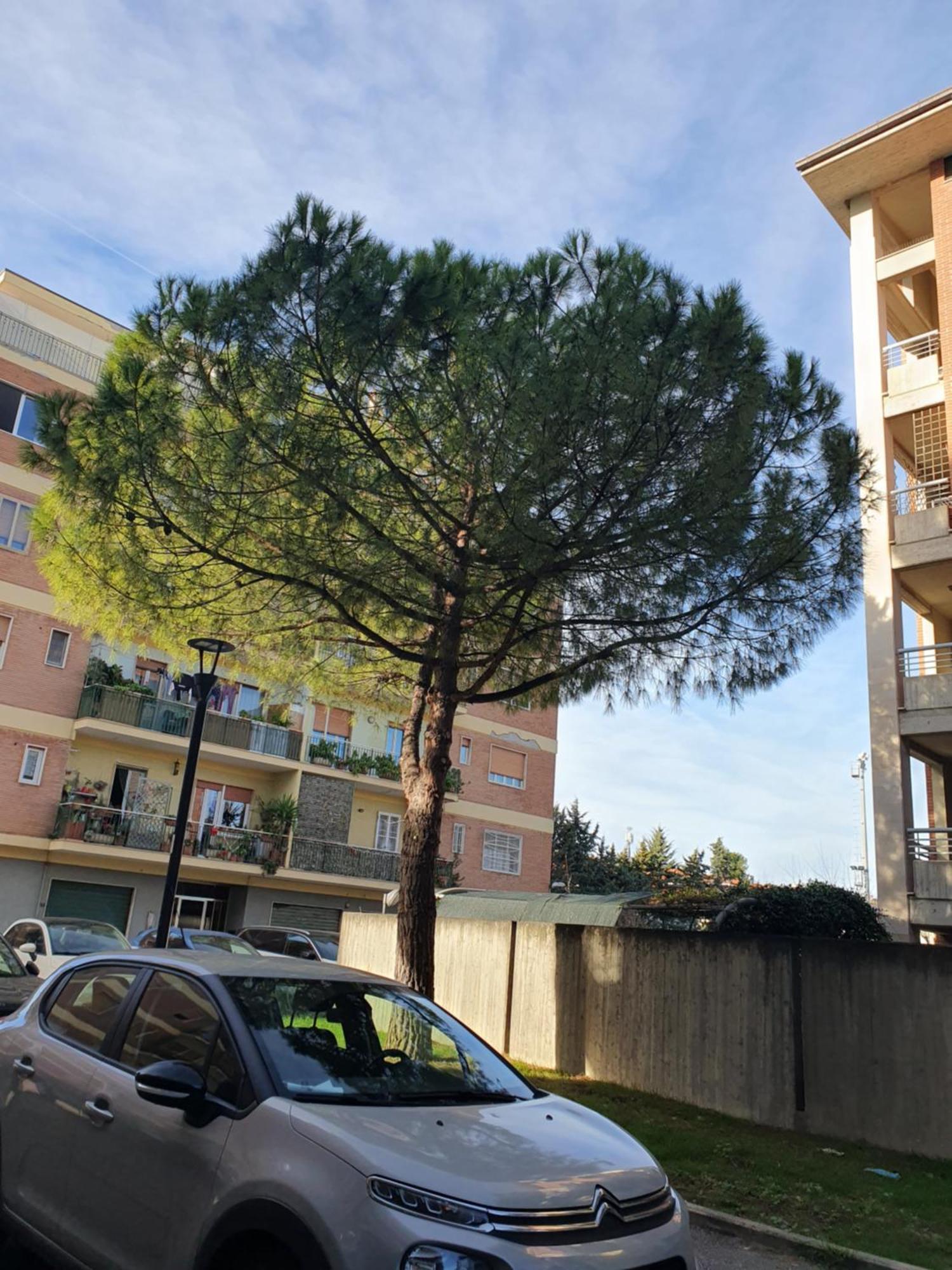 Appartamento Di Delfina Pescara Eksteriør billede